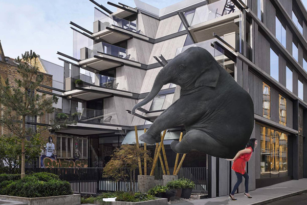 Elephant